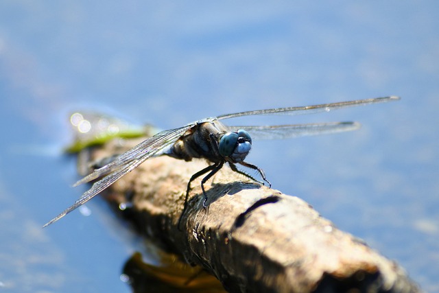 Dacs Air Conditioning - Choices for Air Con Systems Perth