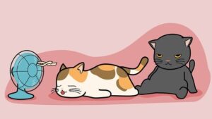 Dacs Air Conditioning - air-conditioner-sizing-perth